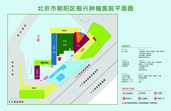 中国大鸡巴操逼网北京市朝阳区桓兴肿瘤医院平面图